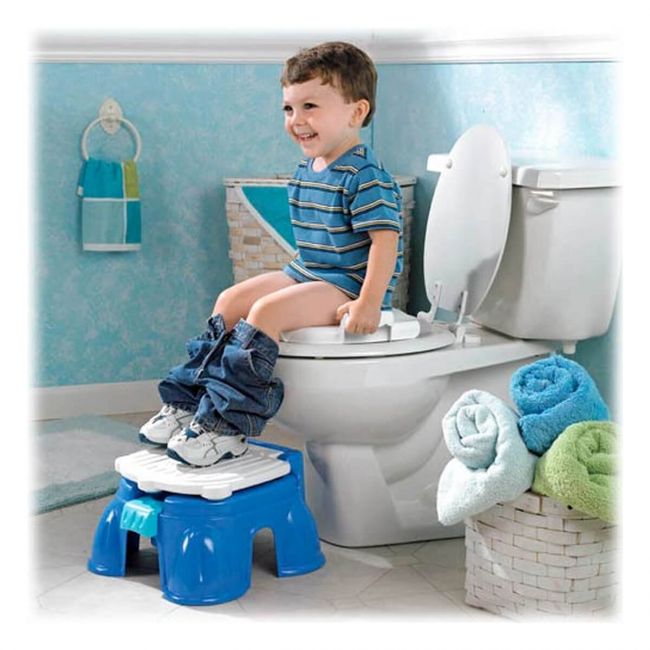 Buy Fisher Price Royal Stepstool Potty Chair | Deedo.pk | - Kids Online ...
